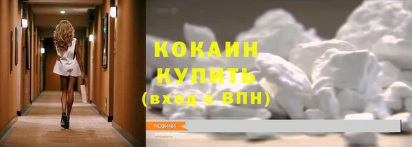 шишки Каменногорск