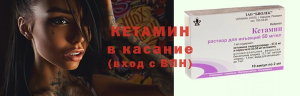 шишки Каменногорск
