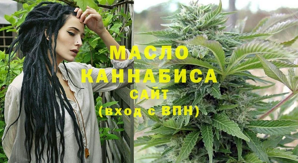 PSILOCYBIN Каменка