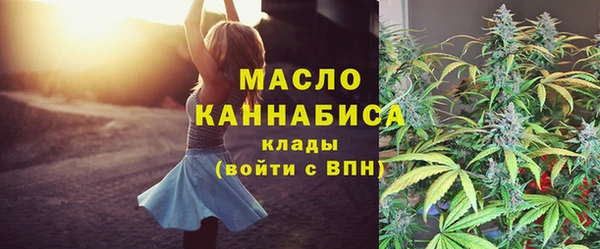 PSILOCYBIN Каменка