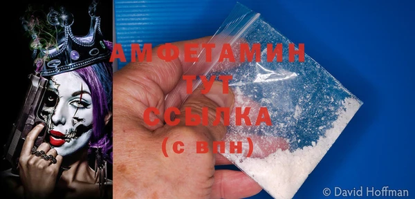 apvp Иннополис
