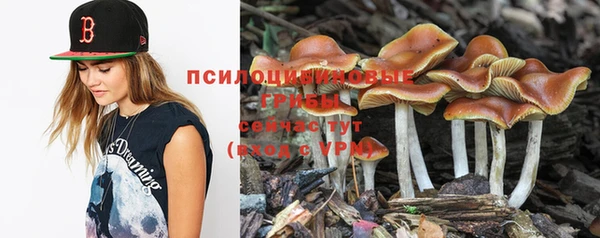 PSILOCYBIN Каменка
