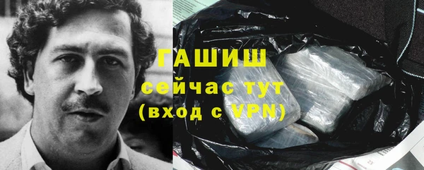 шишки Каменногорск