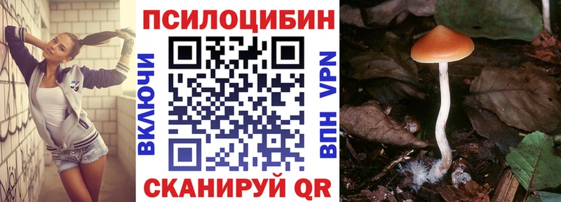 Галлюциногенные грибы ЛСД  Короча 